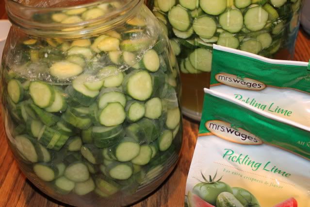Cucumber Crisp Sweet Pickles Recipe Canning and Preserves