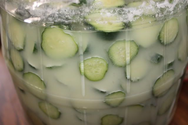 Cucumber Crisp Sweet Pickles Recipe Canning and Preserves