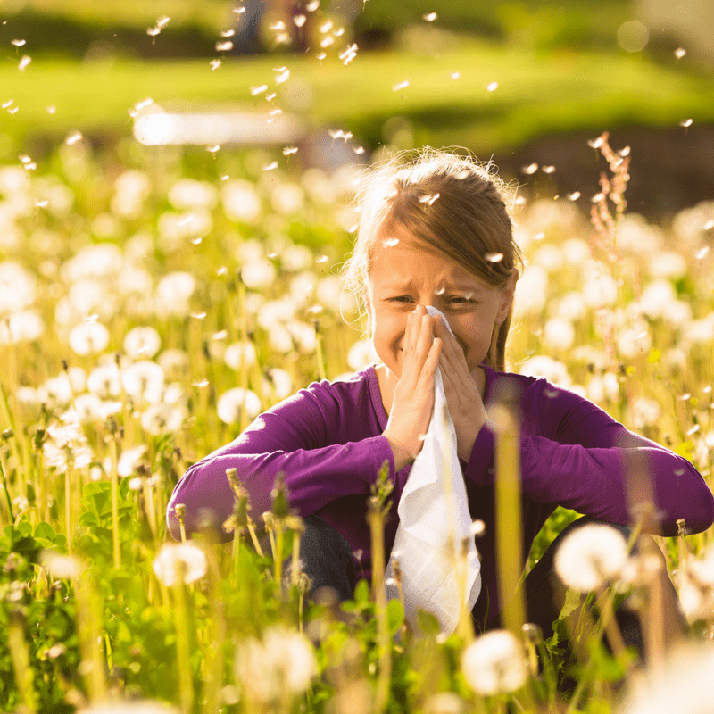 Fight against Allergies: How to Prepare For the Next Summer