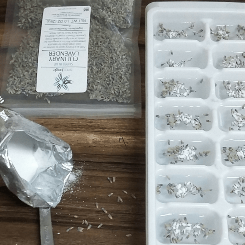 Step By Step D.I.Y. Lavender Ice Cubes Tutorial