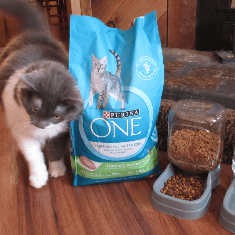 $3 Savings And Food Recommendation From Purina ONE® #PurinaONEPets