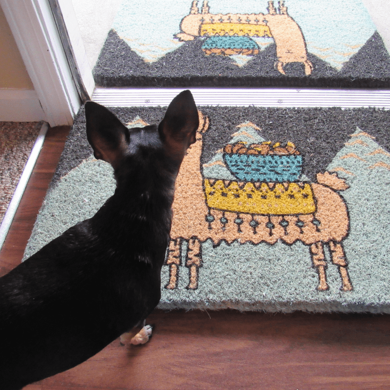 Larry the Llama Doormat from Uncommon Goods #gifts #holidayshoppersgiftidea