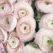 Your Perfect Guide To Choosing Summer Wedding Flowers