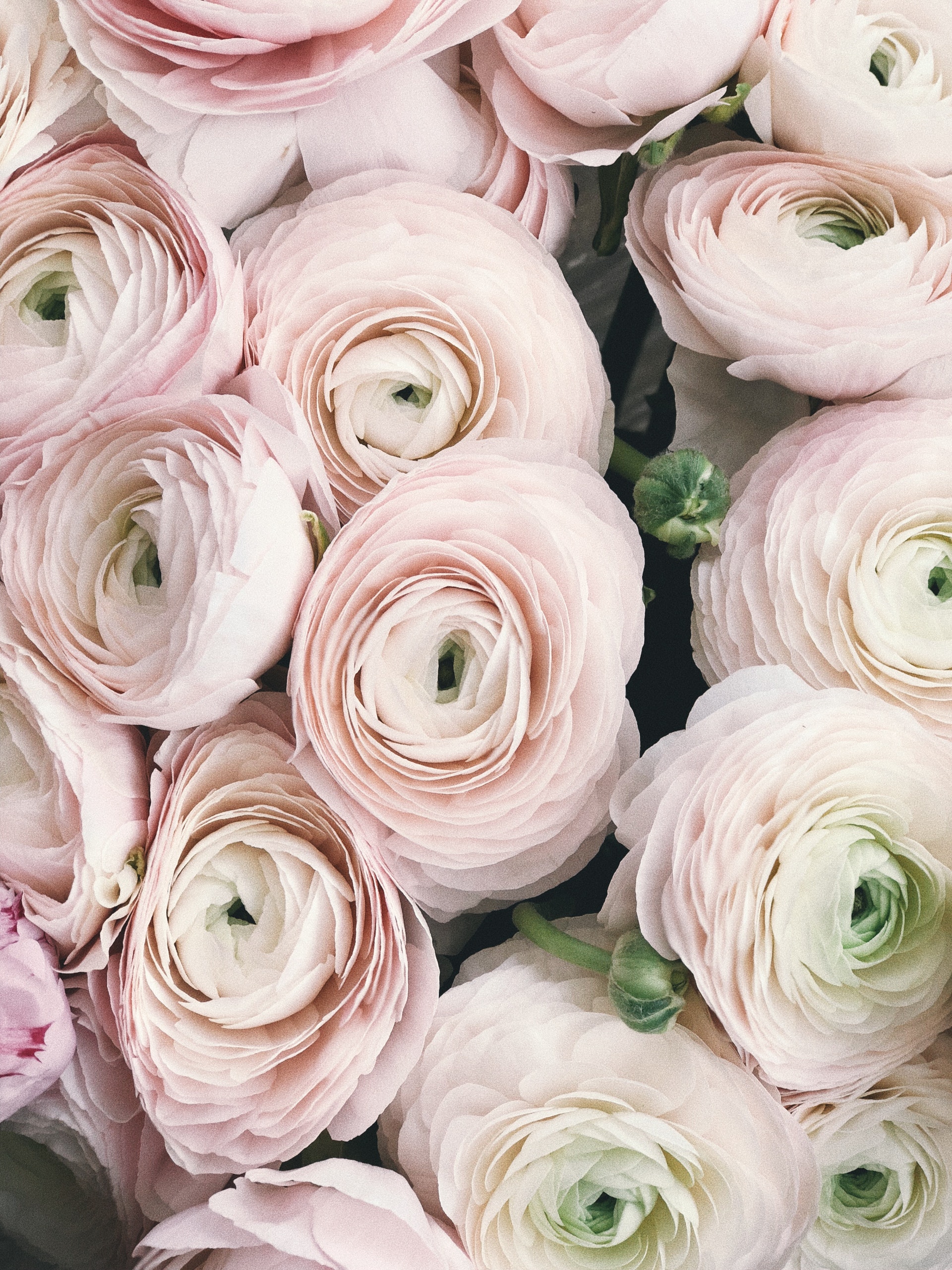 Your Perfect Guide To Choosing Summer Wedding Flowers