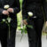 The Dos and Don'ts Of Dressing For A Funeral