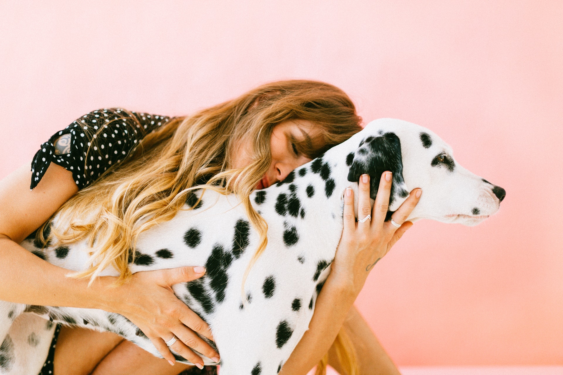 How pets can naturally change your lifestyle?