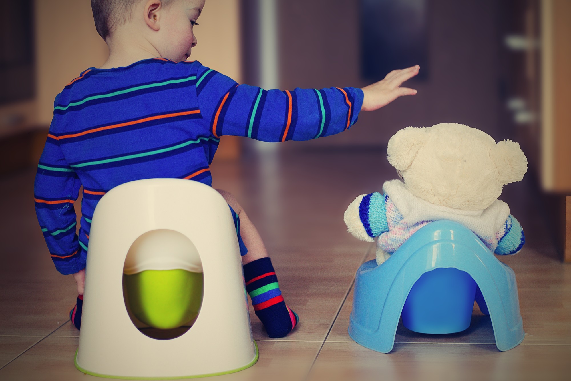Make the Transition: 4 Signs of Potty Training Readiness
