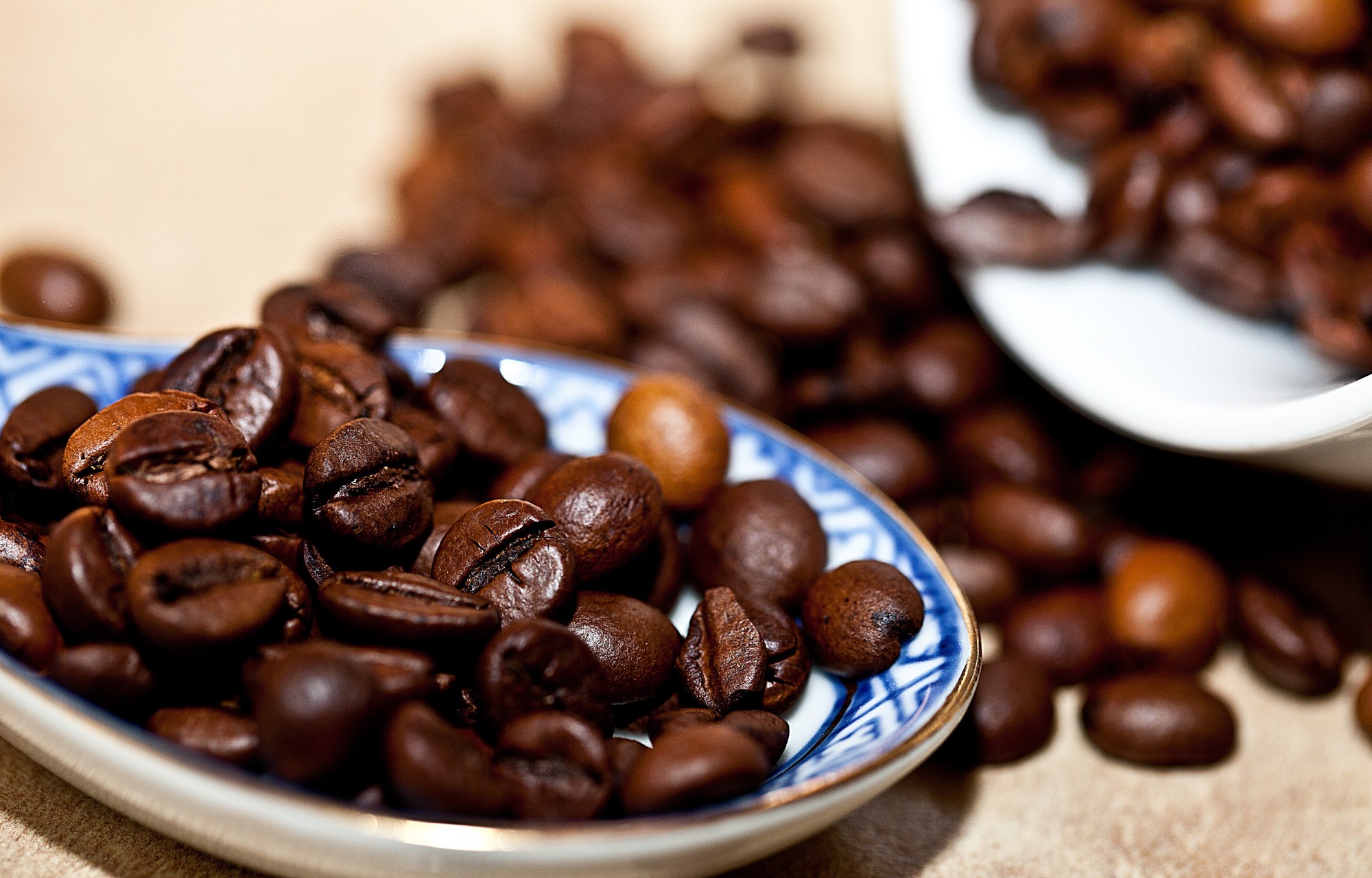 5 Types of Arabica Coffee You Need to Try