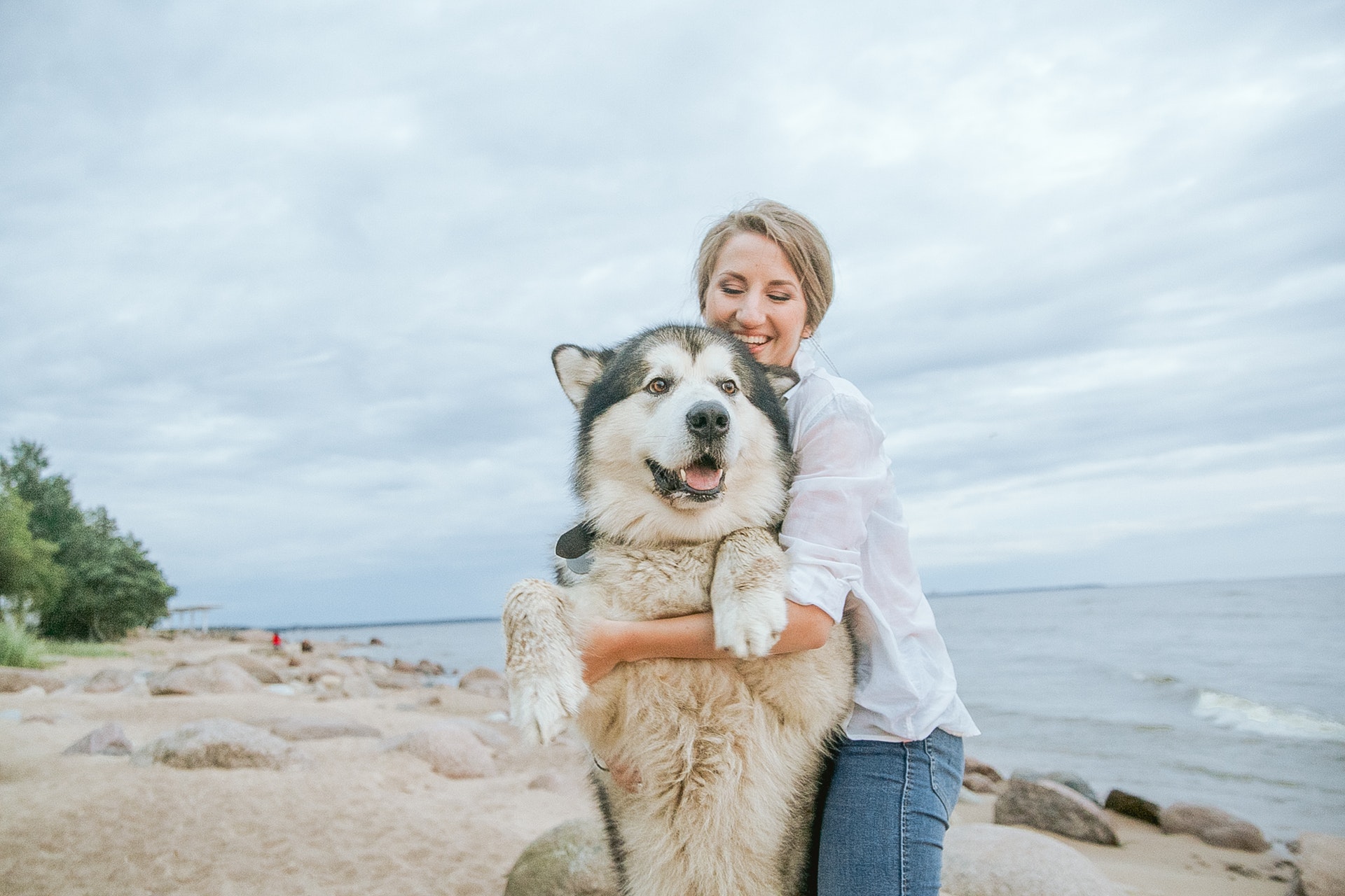 Ways to Help Your Overweight Dog Get in Shape