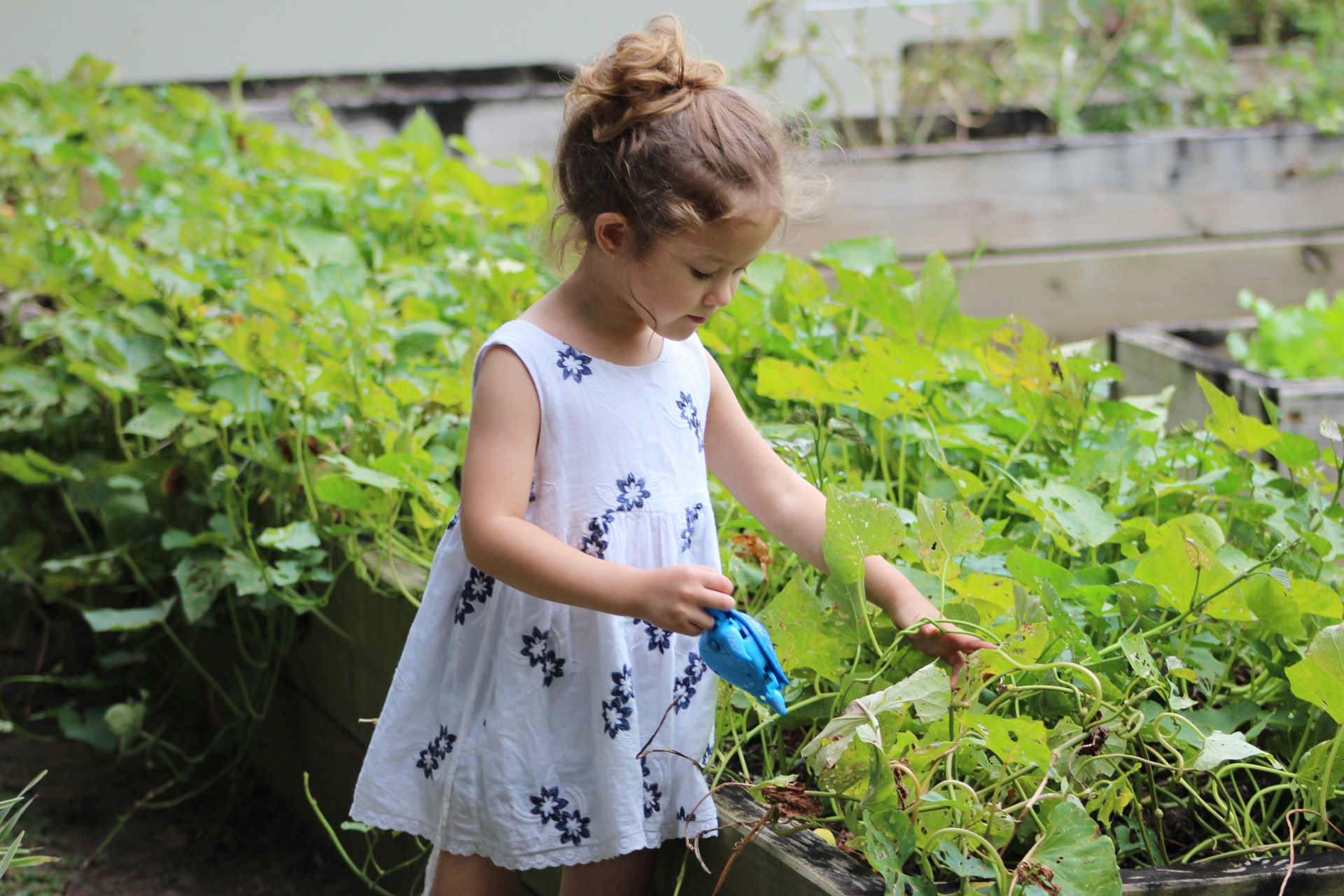How To Make Your Garden Child-Friendly