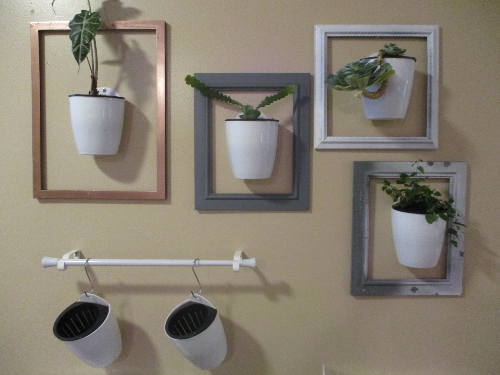 DIY Living Plant Wall