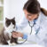 3 Must Have Veterinary Services