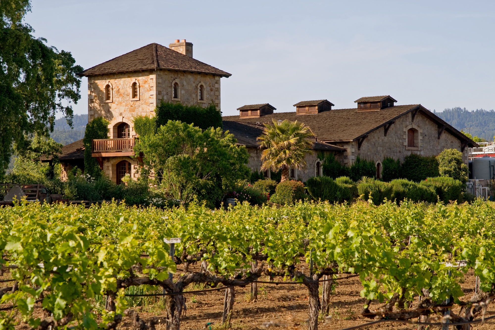 Napa County: Top 5 Best Things to Do in Napa Valley