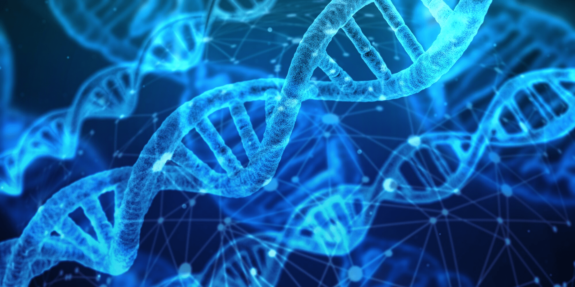 Unlocking Your Genetic Code: What Purpose Does DNA Serve?