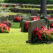 How to Find a Cemetery Plot: 3 Important Steps You Need to Take for Your Final Resting Place