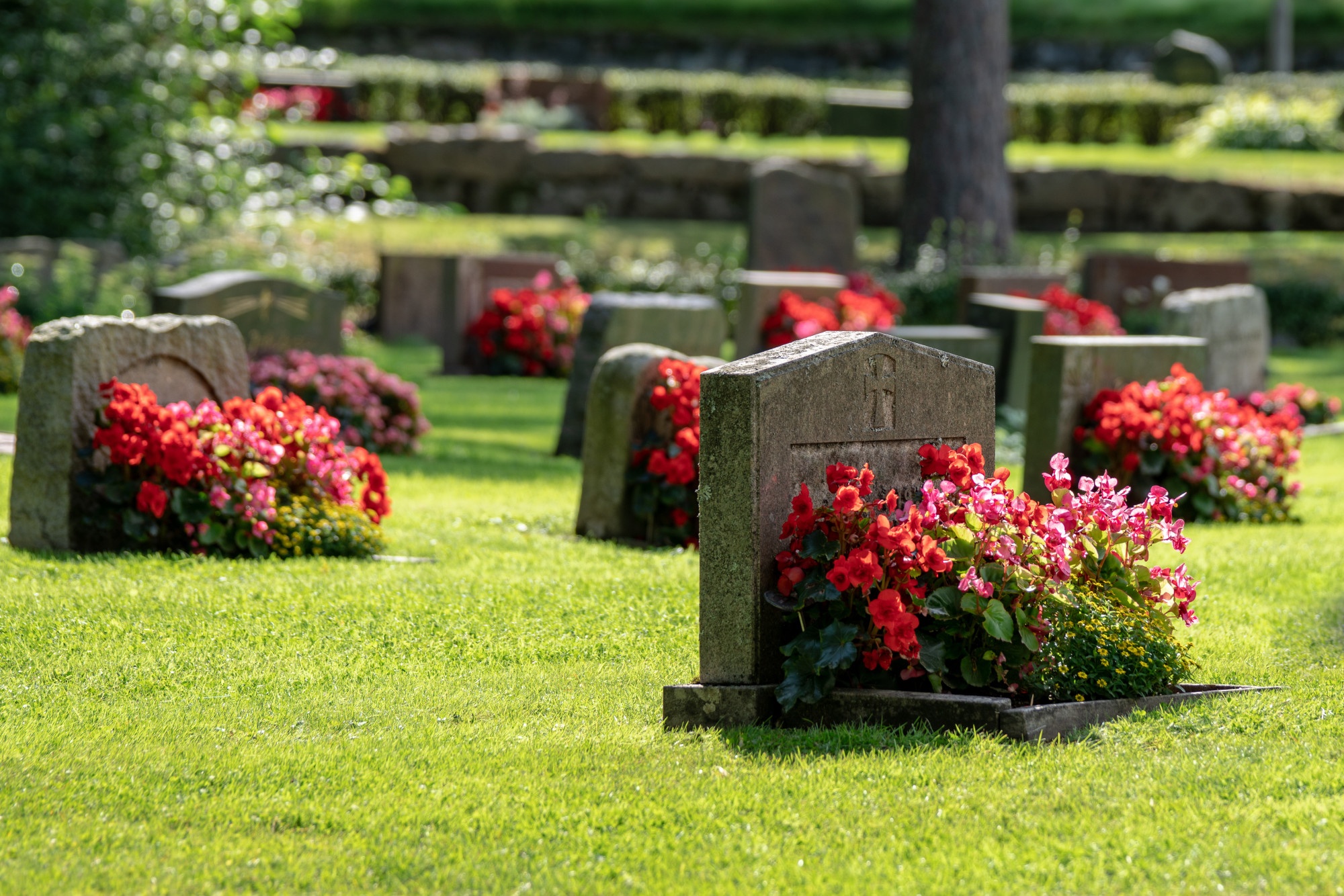How to Find a Cemetery Plot: 3 Important Steps You Need to Take for Your Final Resting Place