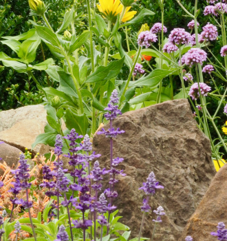 4 Brilliant Ways To Accentuate Your Garden