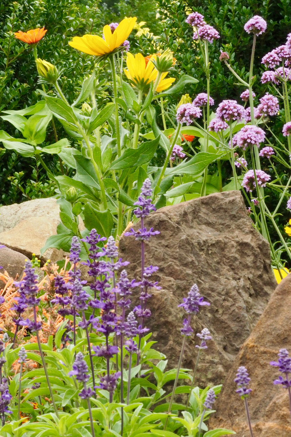 4 Brilliant Ways To Accentuate Your Garden