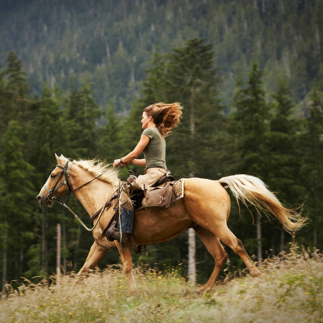 Clothing Essentials for Horse Riders