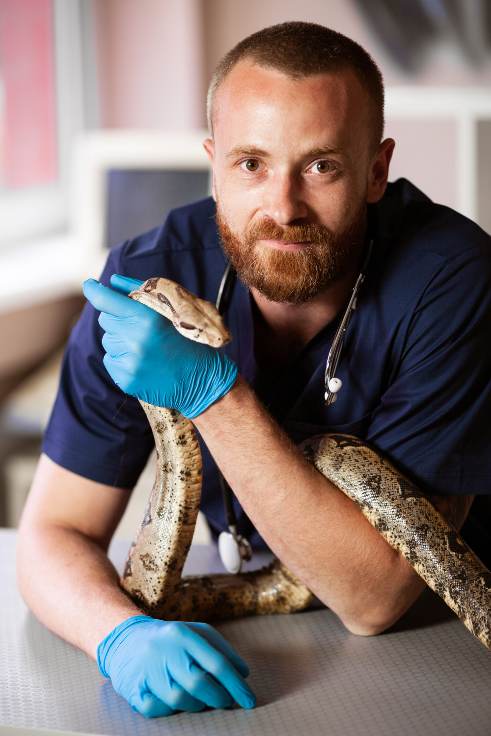 Becoming An Exotic Animal Veterinarian: Here’s A Head Start