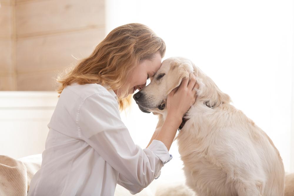 10 Ways to Help Your Aging Dog Stay Healthy