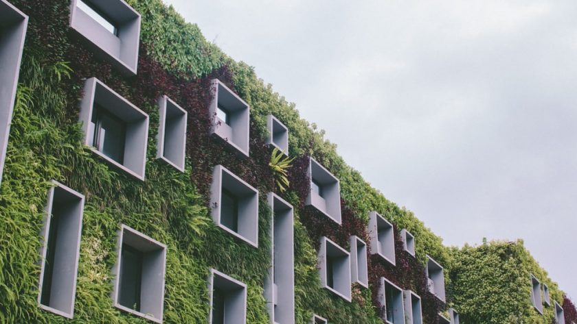 THE FUTURE OF HOUSING: ECO-FRIENDLY HOMES