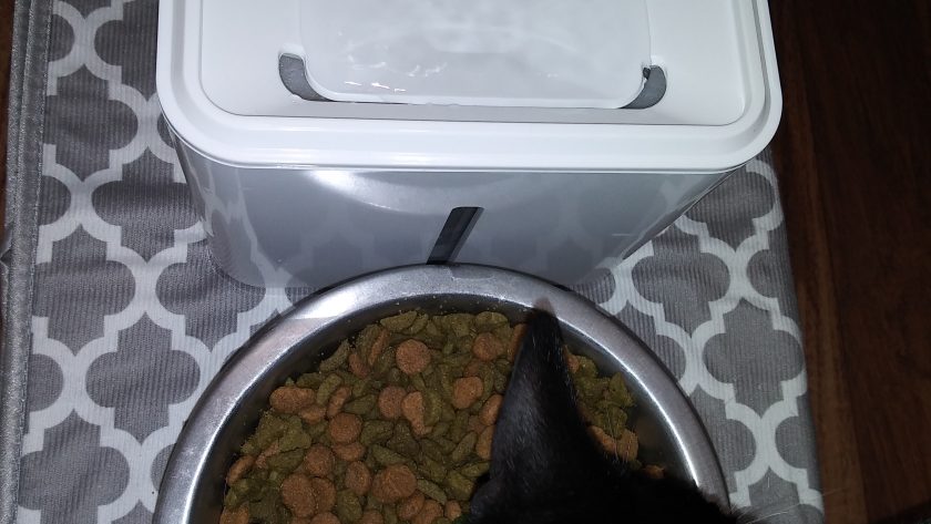 Pet Water Fountain Gifts 2021
