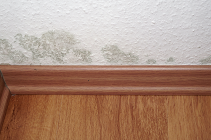 3 Tips To Prevent Mold When Living In An Apartment