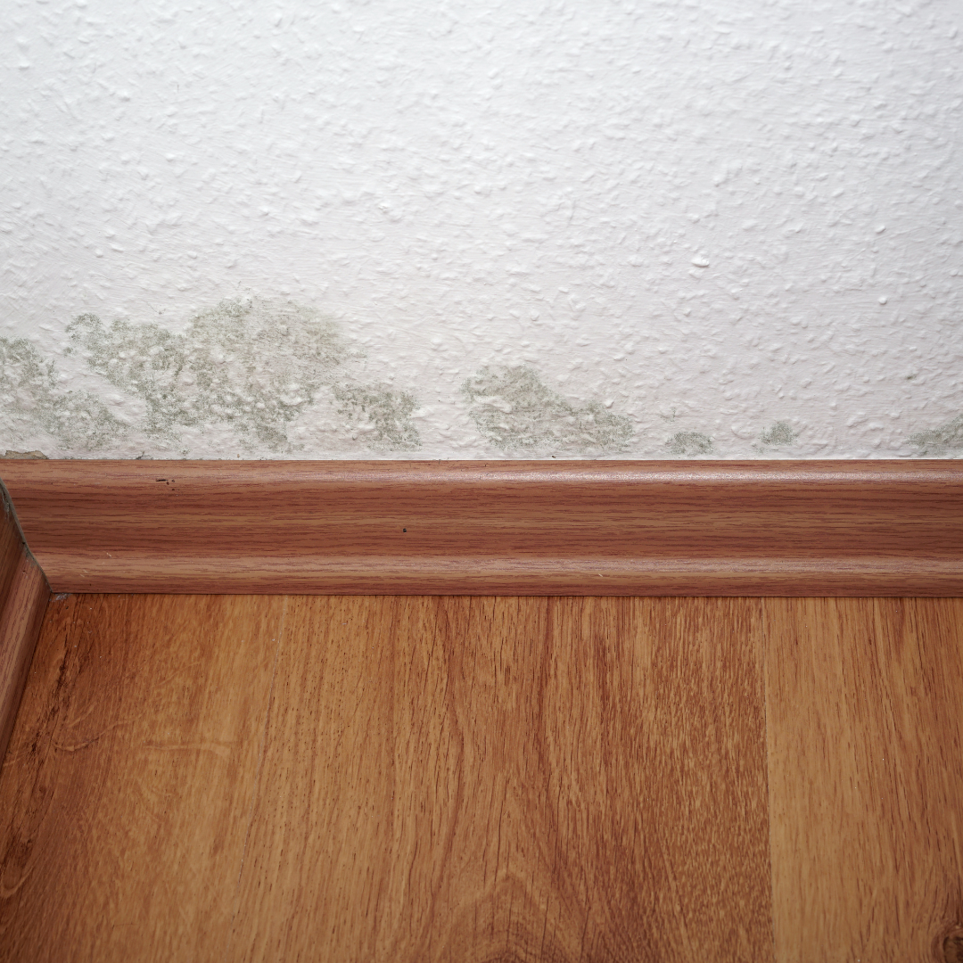 3 Tips To Prevent Mold When Living In An Apartment