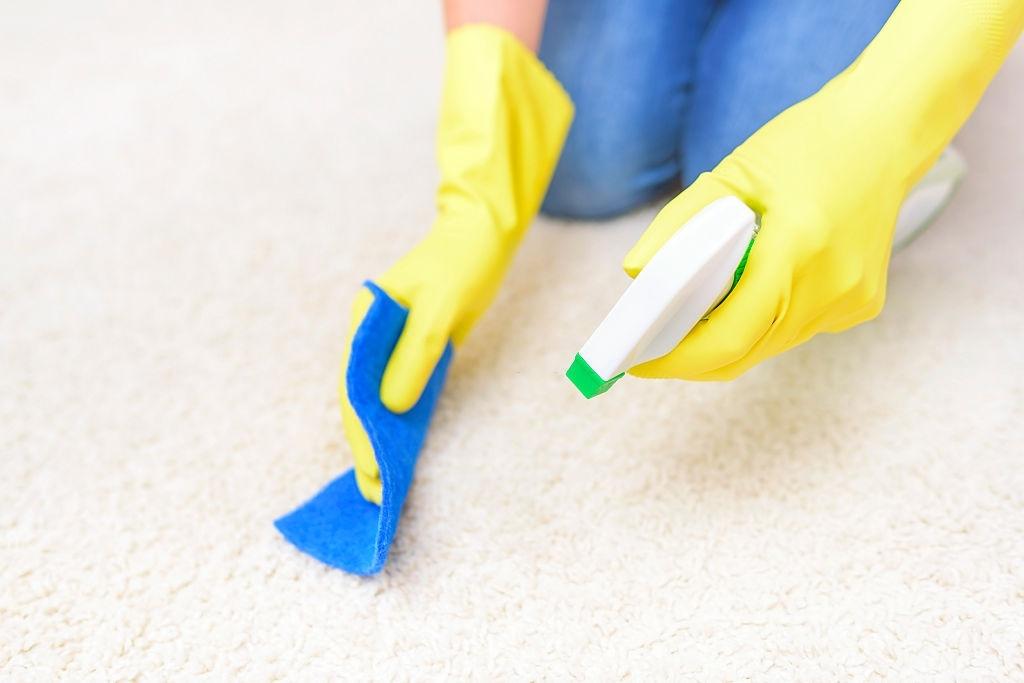 Homeowners Guide To DIY Carpet Cleaning