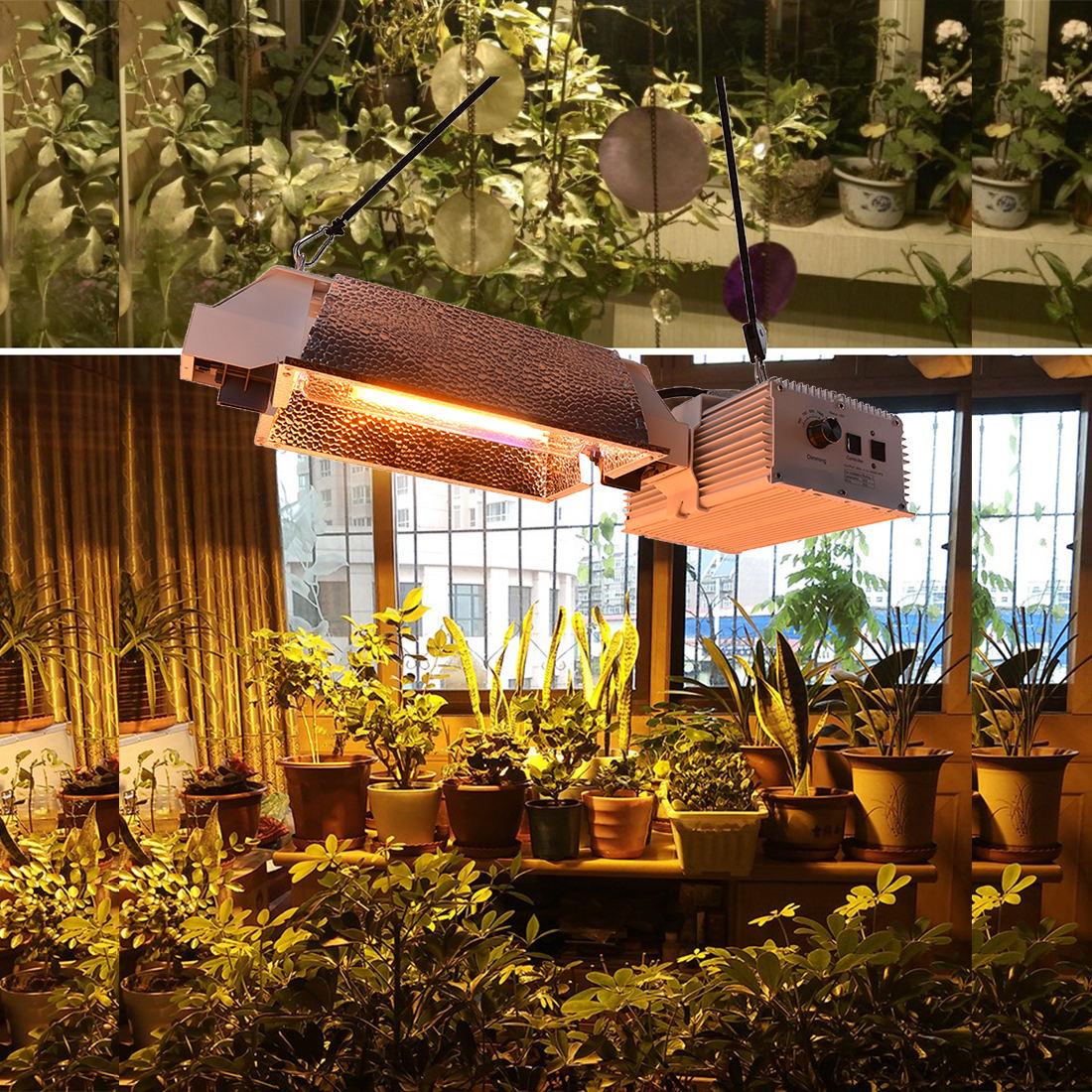 Are HPS Lamps A Good Investment When Gardening?