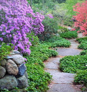 How to Transform Your Garden in 4 Easy Steps
