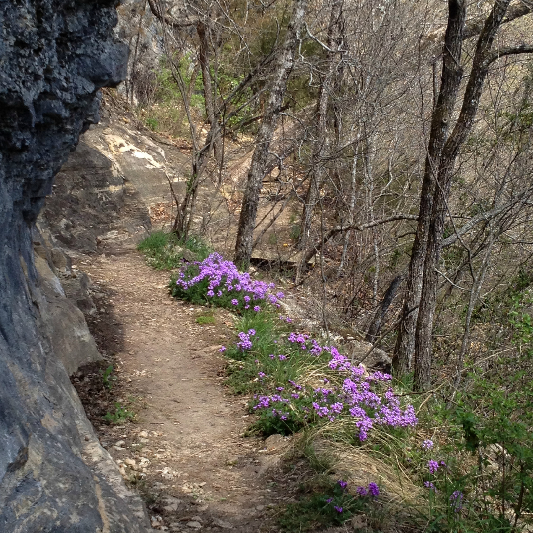 River Trail, Bluff Trail, and Illinois Canyon Loop 