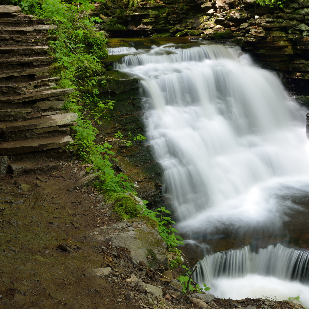 Waterfall Glen Trail 
