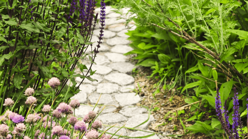 5 Trends That Will Transform Your Backyard