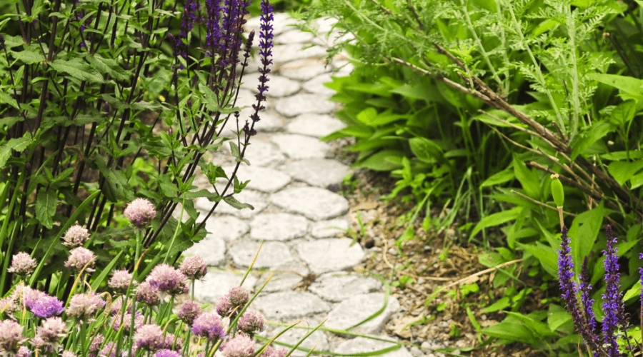 5 Trends That Will Transform Your Backyard