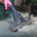 End of tenancy cleaning how Steam carpet cleaning can help?