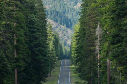 Most Scenic Road Trips in Washington State