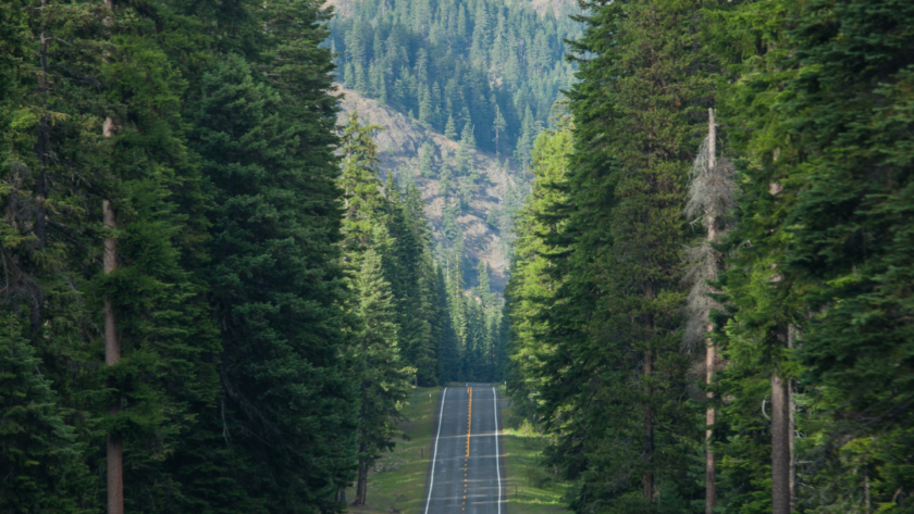 Most Scenic Road Trips in Washington State