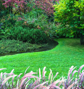 Why Your Lawn Always Looks Brown