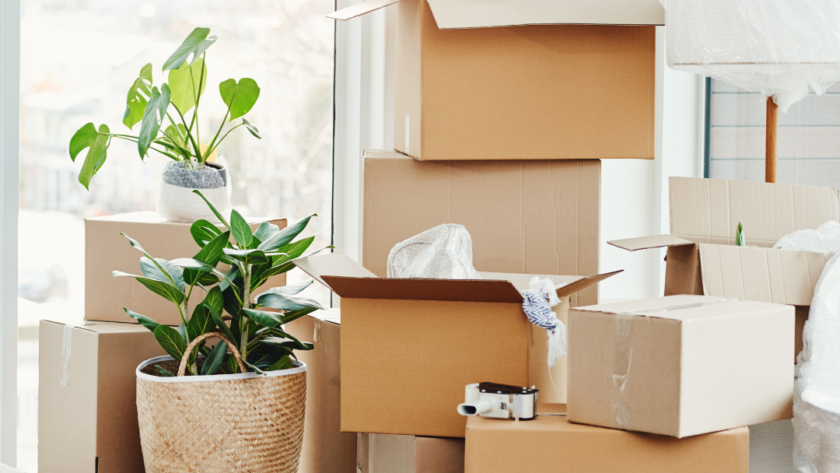 Some Essential Tips for Moving into Your First House