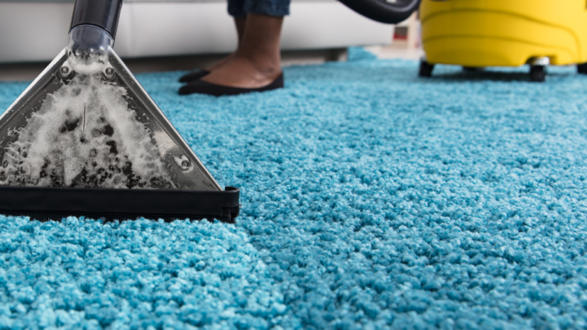 4 Items You Need if You Want to Deep Clean Your Carpet