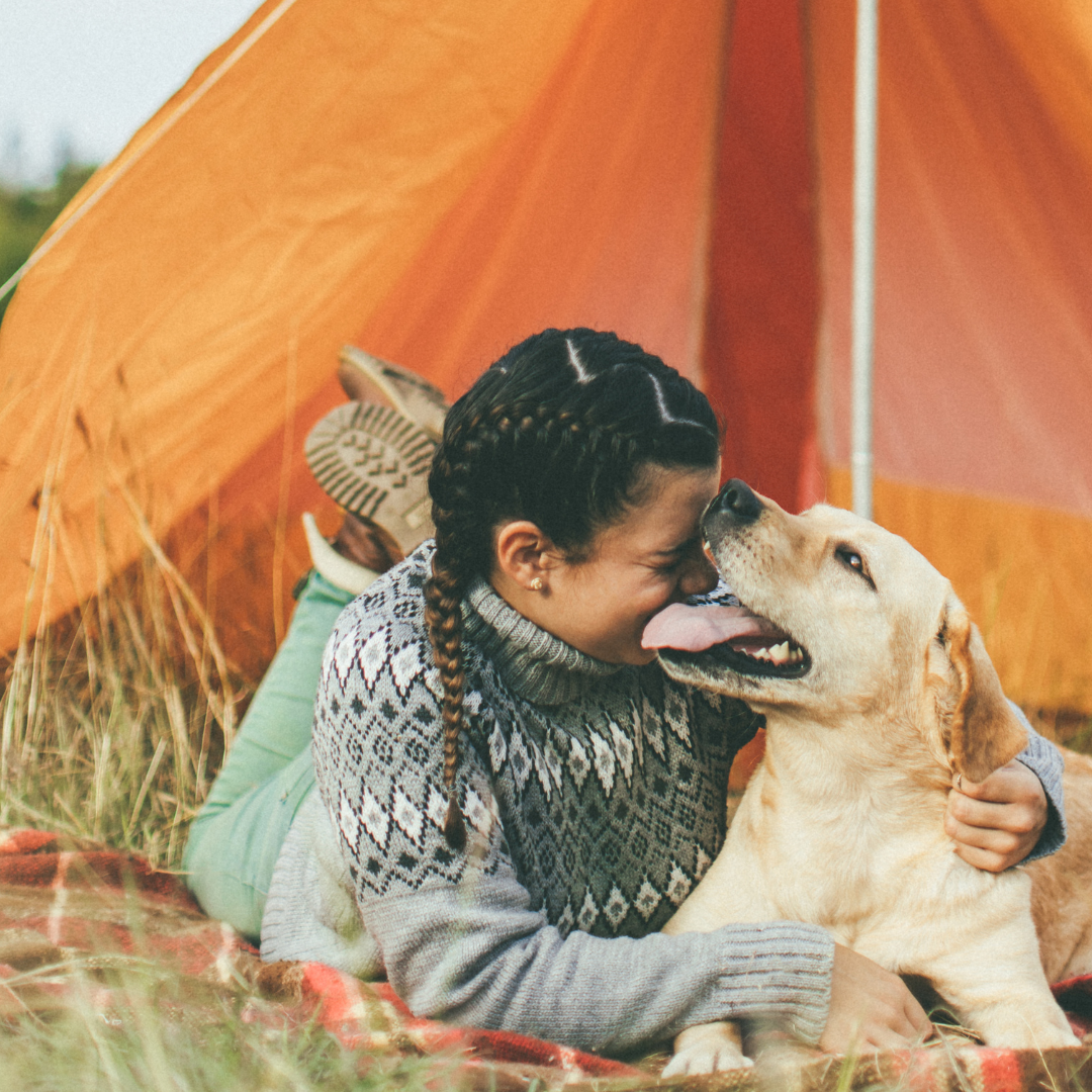 5 Summer Activities to do With Your Dog
