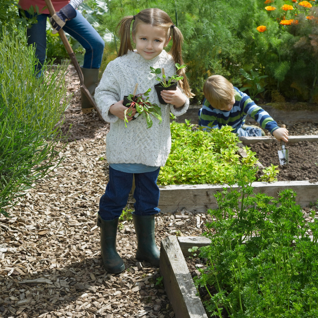 Fun things for children to do in the garden