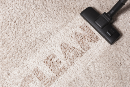 Why Is Carpet Cleaning Important Some Major Reasons