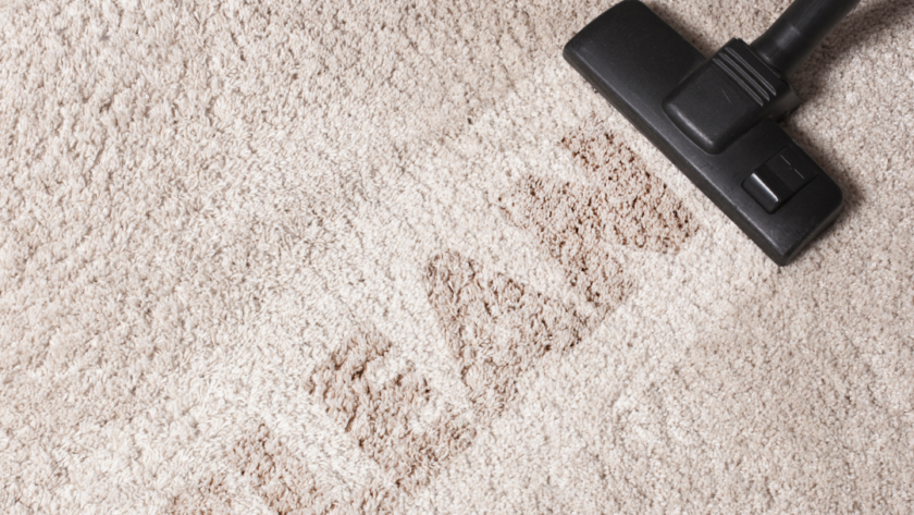Why Is Carpet Cleaning Important Some Major Reasons