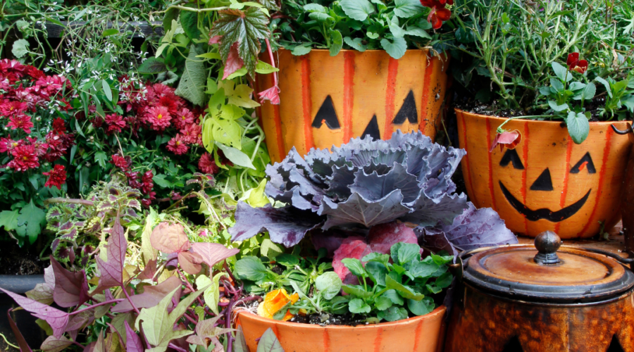 How to Prepare Your Autumn Garden for Hazardous Weather