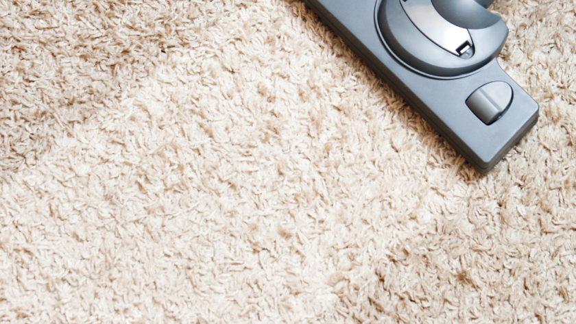 Steam Carpet Cleaning Guide For Homeowners