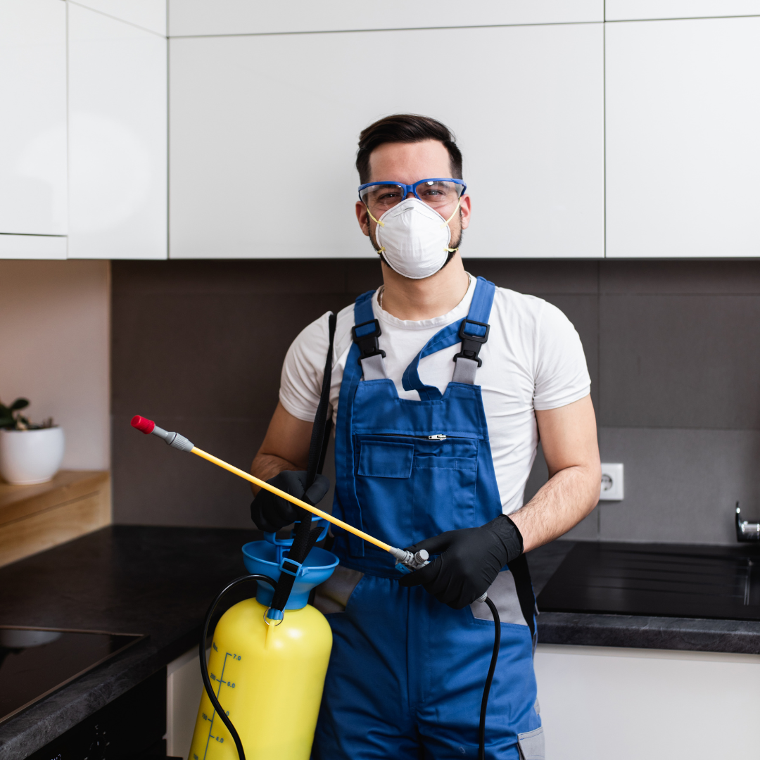 What you should know about Pest Control?