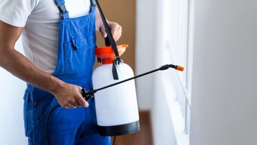 Top 20 Pest Control Tips From the Pros